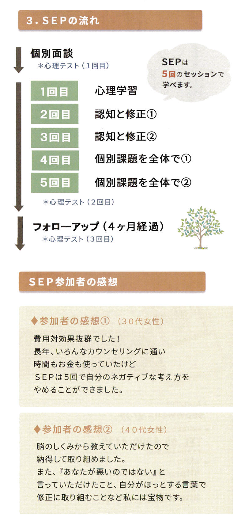 SEPの流れ　SEP参加者の感想
